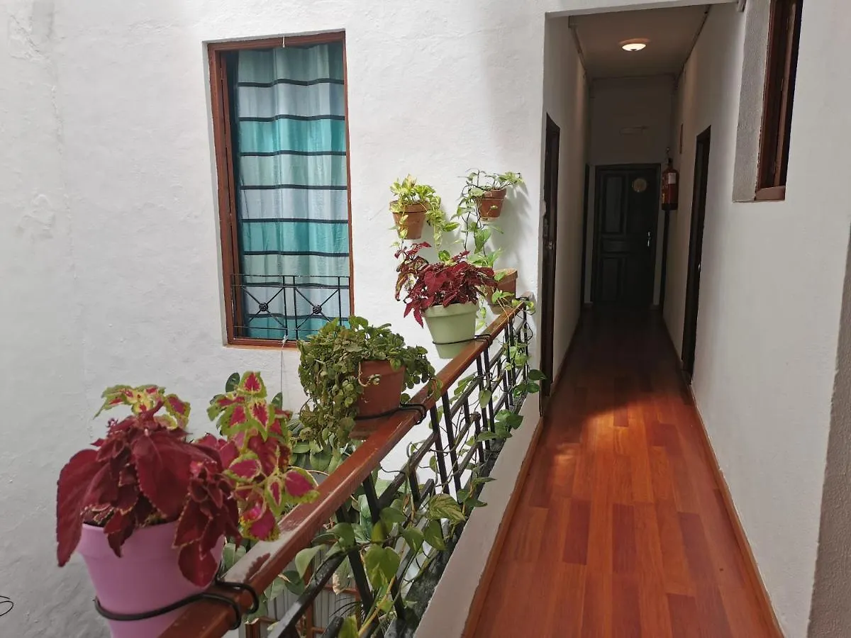Guest house Pension Ronda Sol