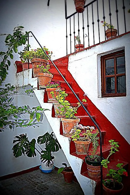 Pension Ronda Sol Guest house